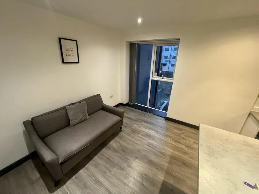 Dumfries Street, Luton, LU1, photo 2