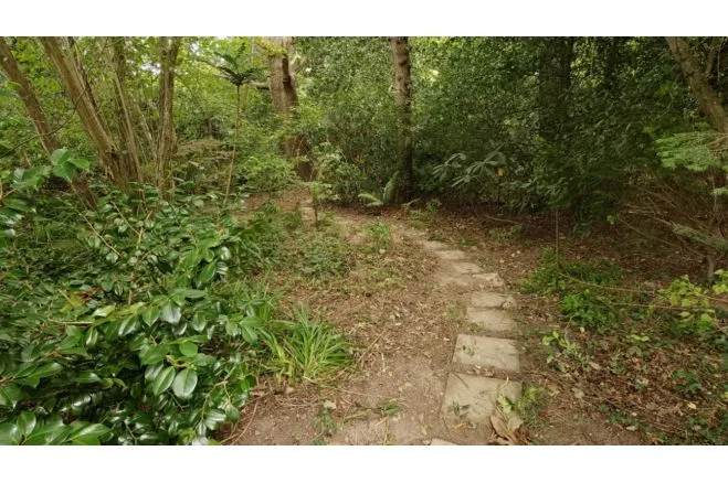 Farley Way, Hastings, TN35, photo 25