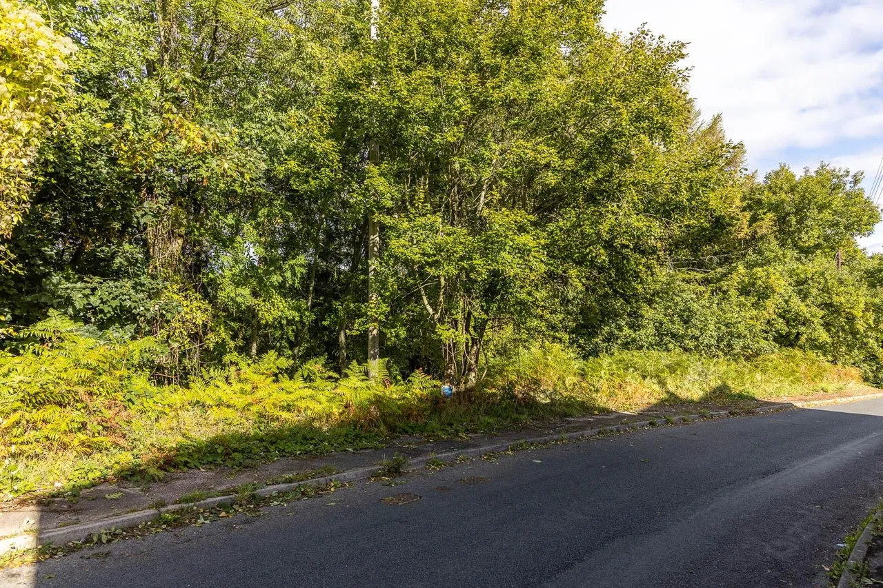 Worrall Hill, Lydbrook, GL17, photo 8