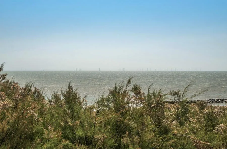 Kings Parade, Holland-on-Sea, CO15, photo 35