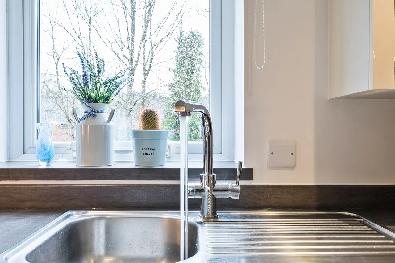 Reading Road, Henley-On-Thames, RG9, photo 9