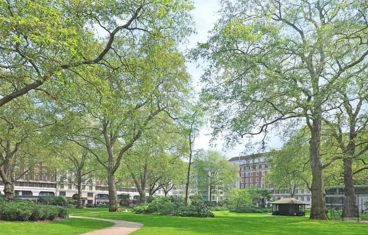 Portman Square, Marylebone, W1H, photo 10