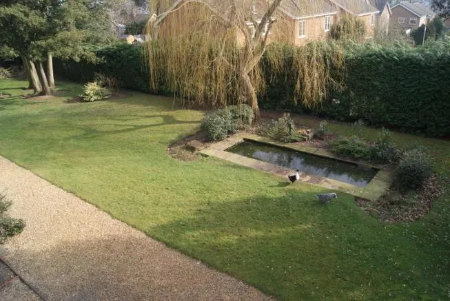 Belstead Road, Ipswich, IP2, photo 10