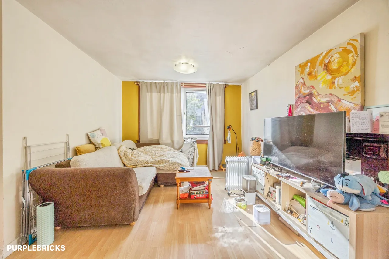Pleasance, Edinburgh, EH8, photo 10