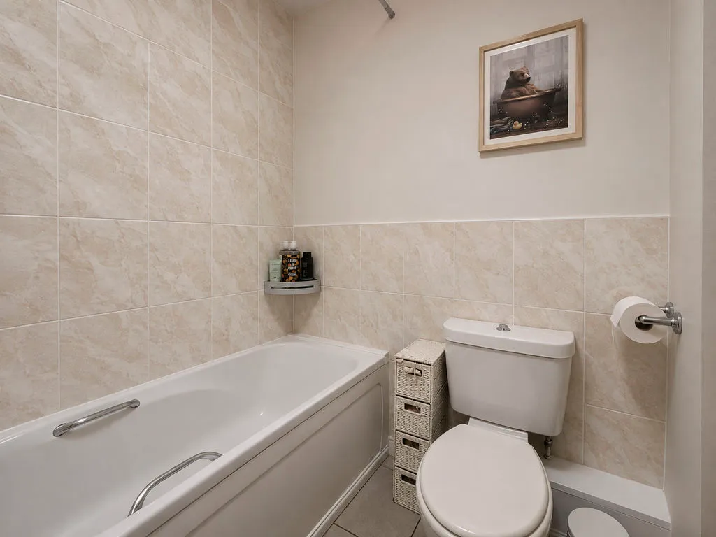 Tulip Grove, Streetly, B74, photo 18