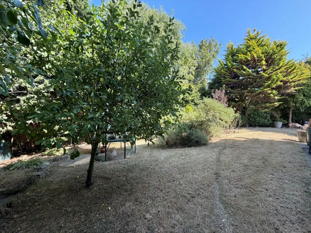Cranleigh Close, Bexhill on Sea, photo 18