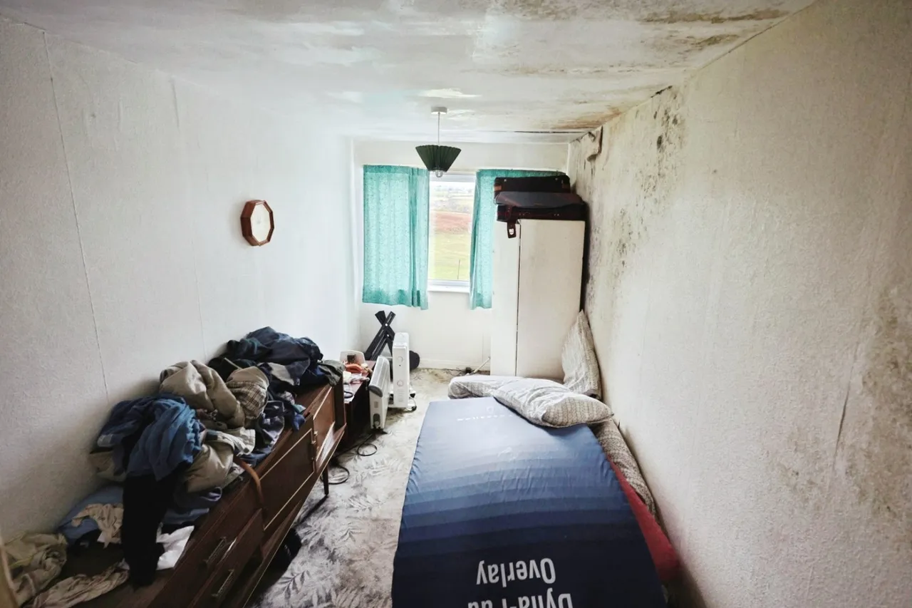 York Terrace, Cockfield, DL13, photo 6