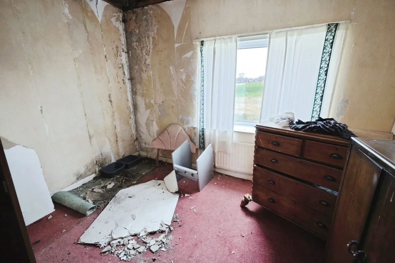 York Terrace, Cockfield, DL13, photo 5
