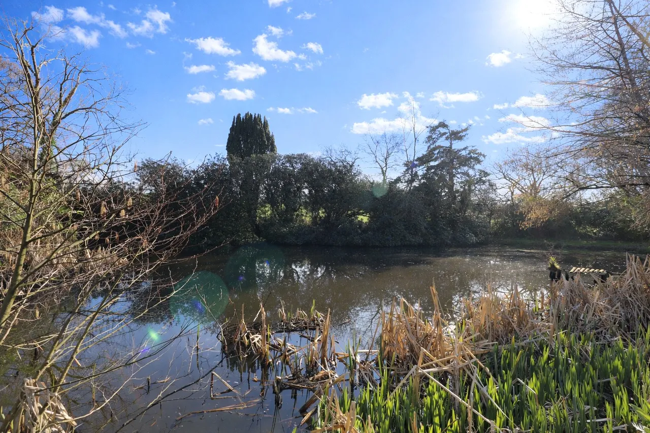 Littleham, Bideford, photo 80