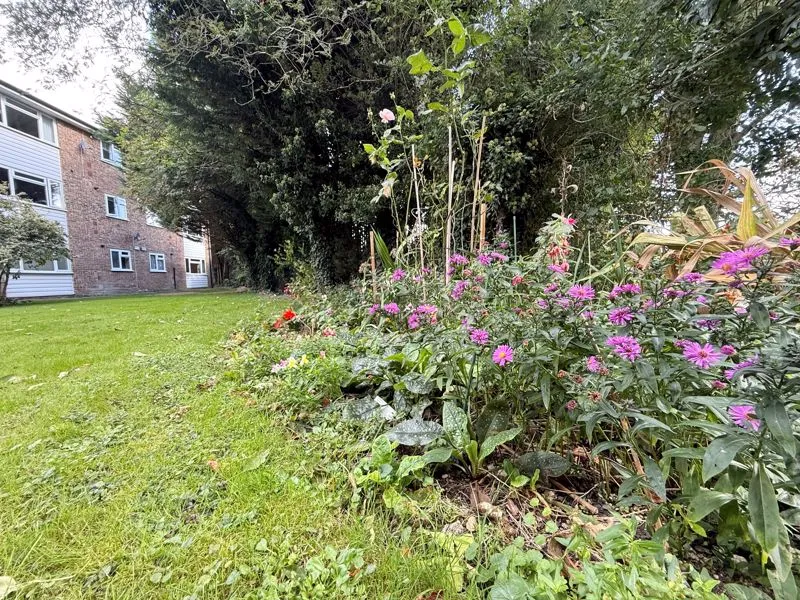 Fennels Road, High Wycombe HP11 1SS, photo 5