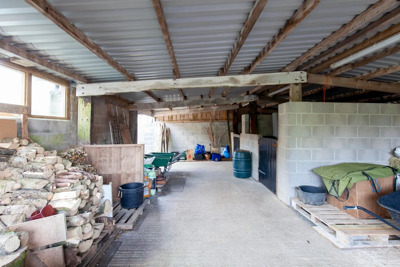 Bleak Street, Pen Selwood, Wincanton, Somerset, BA9 8LZ, photo 17