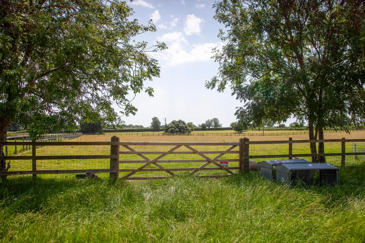 Bleak Street, Pen Selwood, Wincanton, Somerset, BA9 8LZ, photo 6