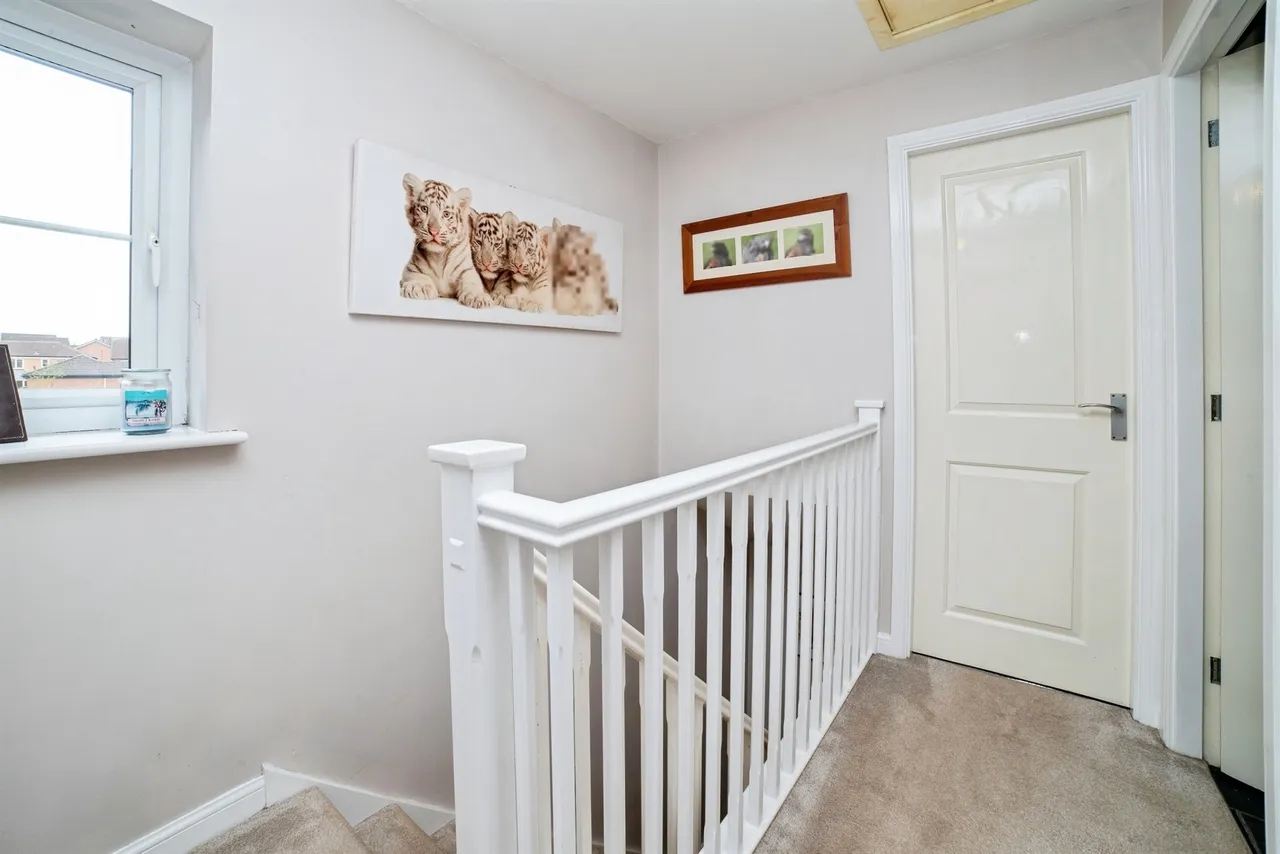 Sanderling Way, Forest Town, NG19, photo 10