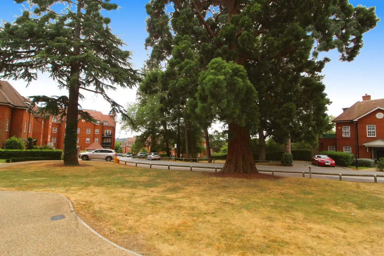 15 Collison Avenue, Barnet EN5 3BQ, photo 6