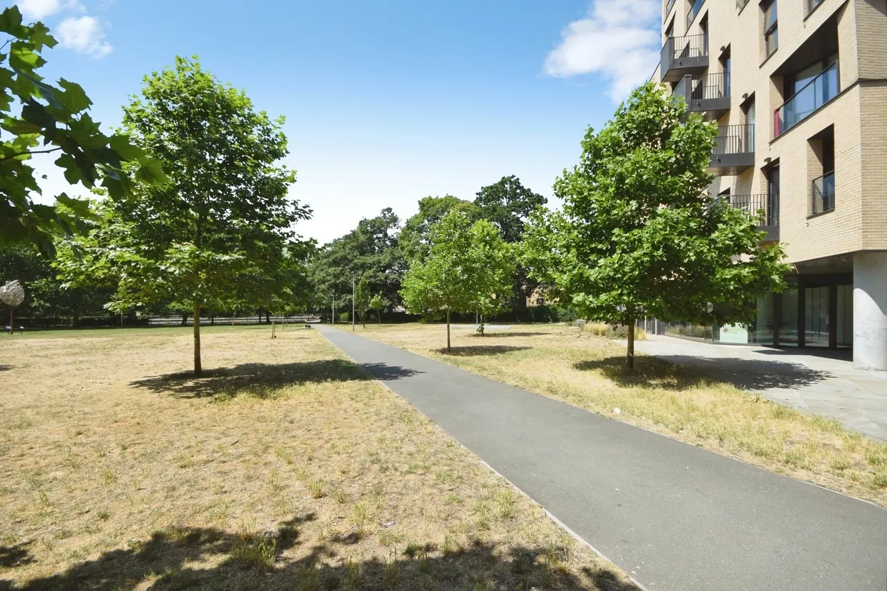 Burgess Springs, Chelmsford, Essex, CM1, photo 12