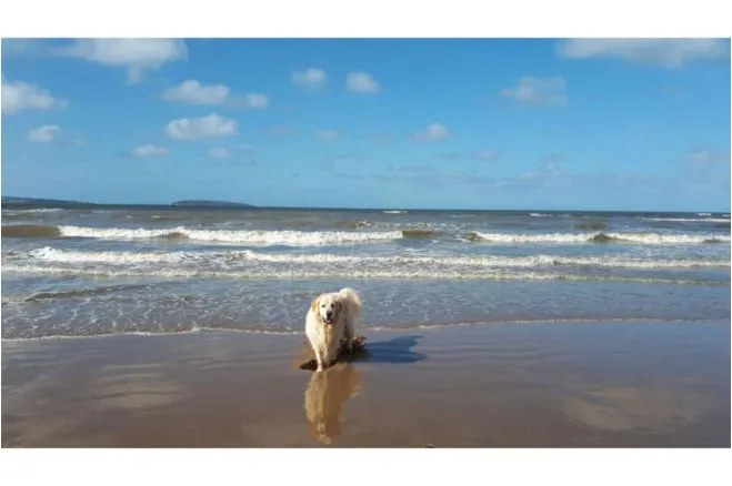 Promenade, Llanfairfechan, LL33, photo 37