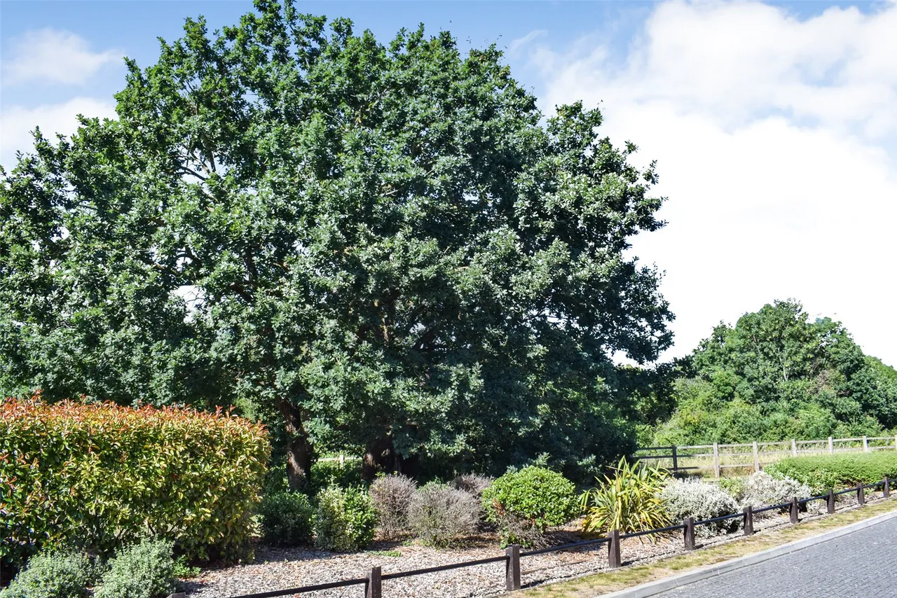 Cuckoo Crescent, Blackwater, Camberley, Hampshire, GU17 0SB, photo 20