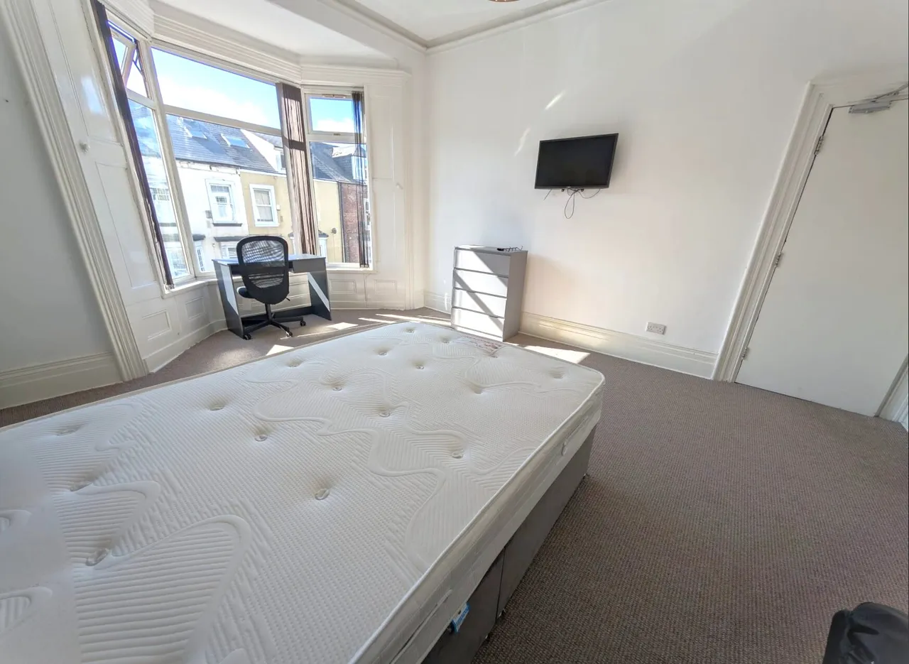 Elmwood Street, Sunderland, SR2, photo 4