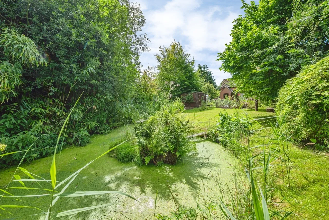Irstead Road, Neatishead, Norwich, NR12, photo 32