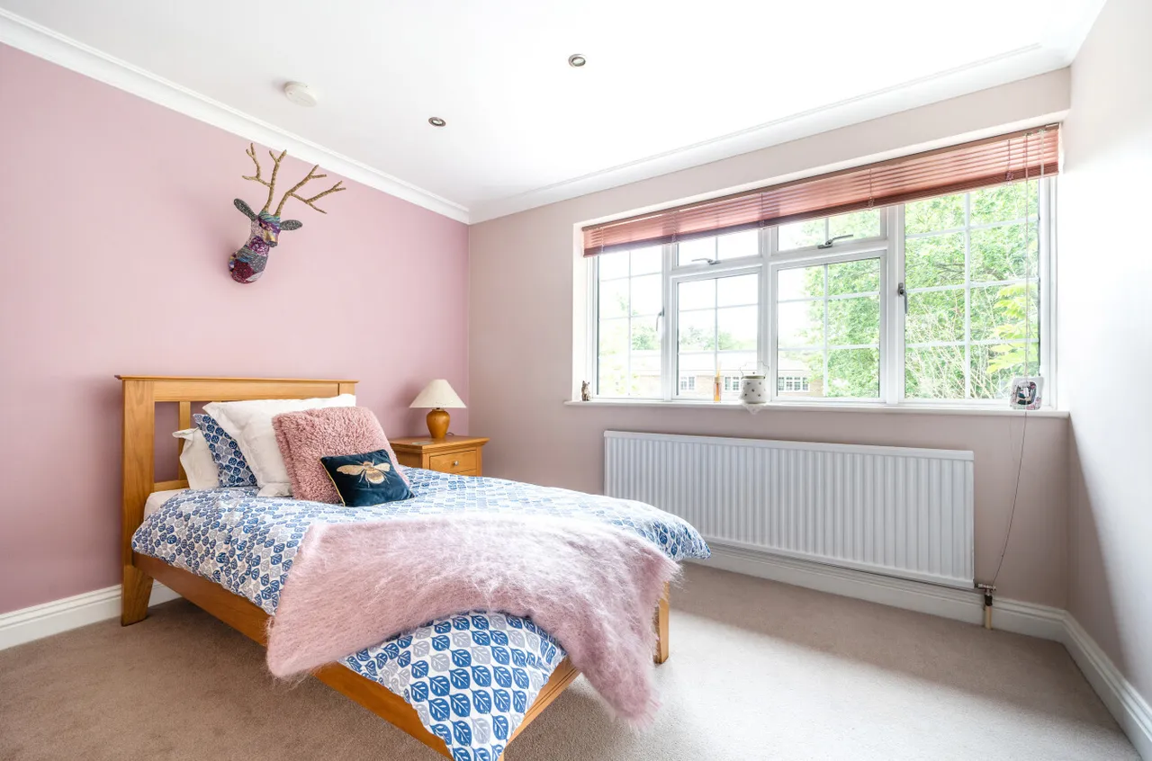 Robin Hill Drive, Camberley, Surrey, GU15 1EG, photo 20