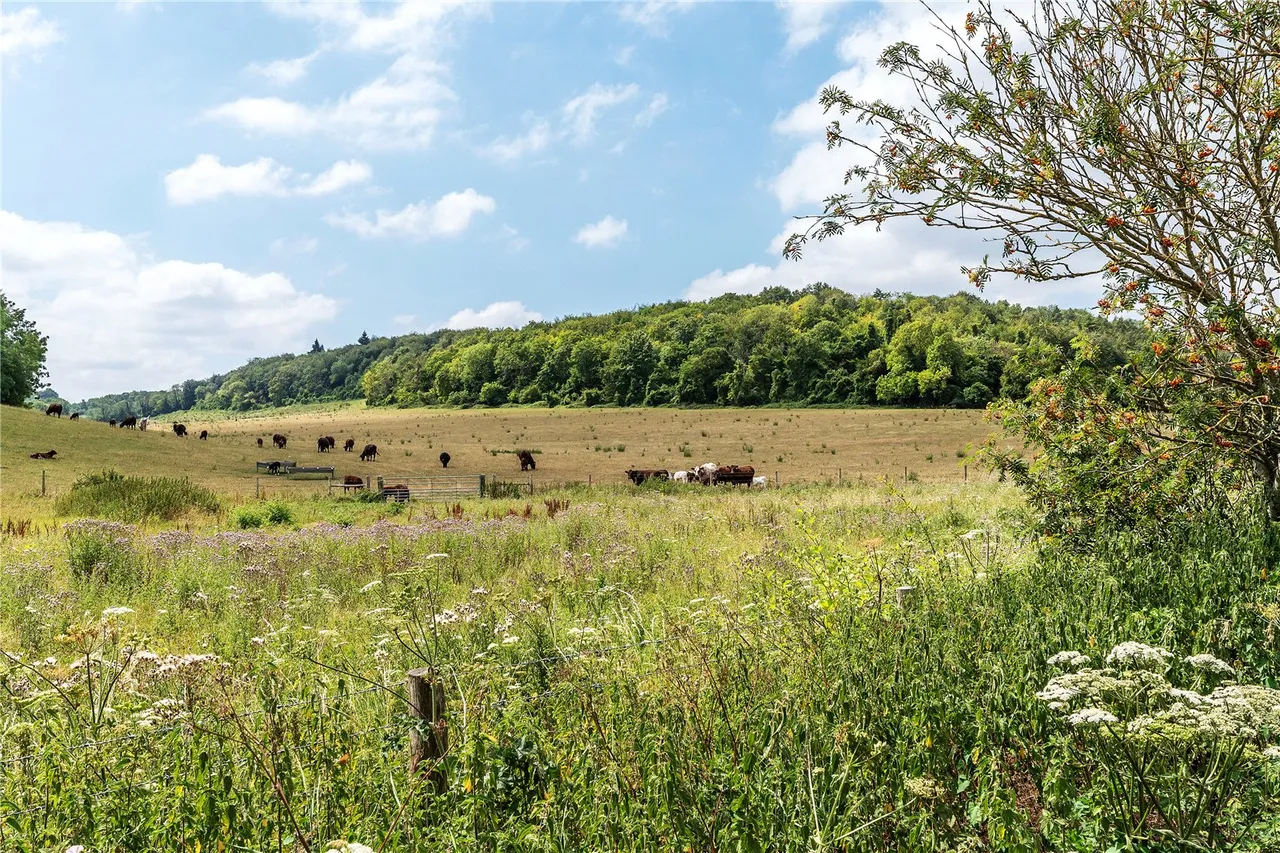 Shacklands Road, Shoreham, Sevenoaks, Kent, TN14 7TX, photo 2