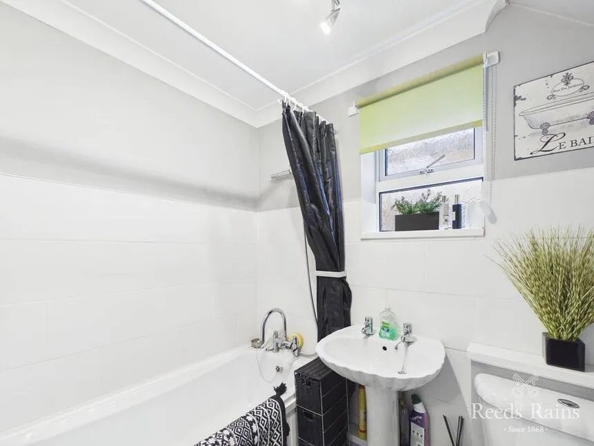 Trimdon Avenue, Middlesbrough, North Yorkshire, TS5, photo 8