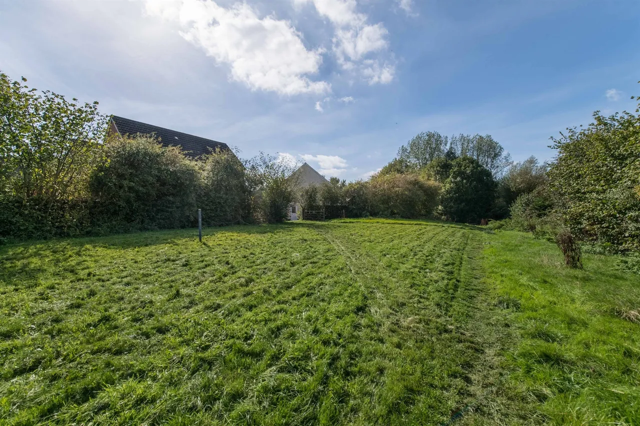 Witheridge, Tiverton, EX16, photo 5