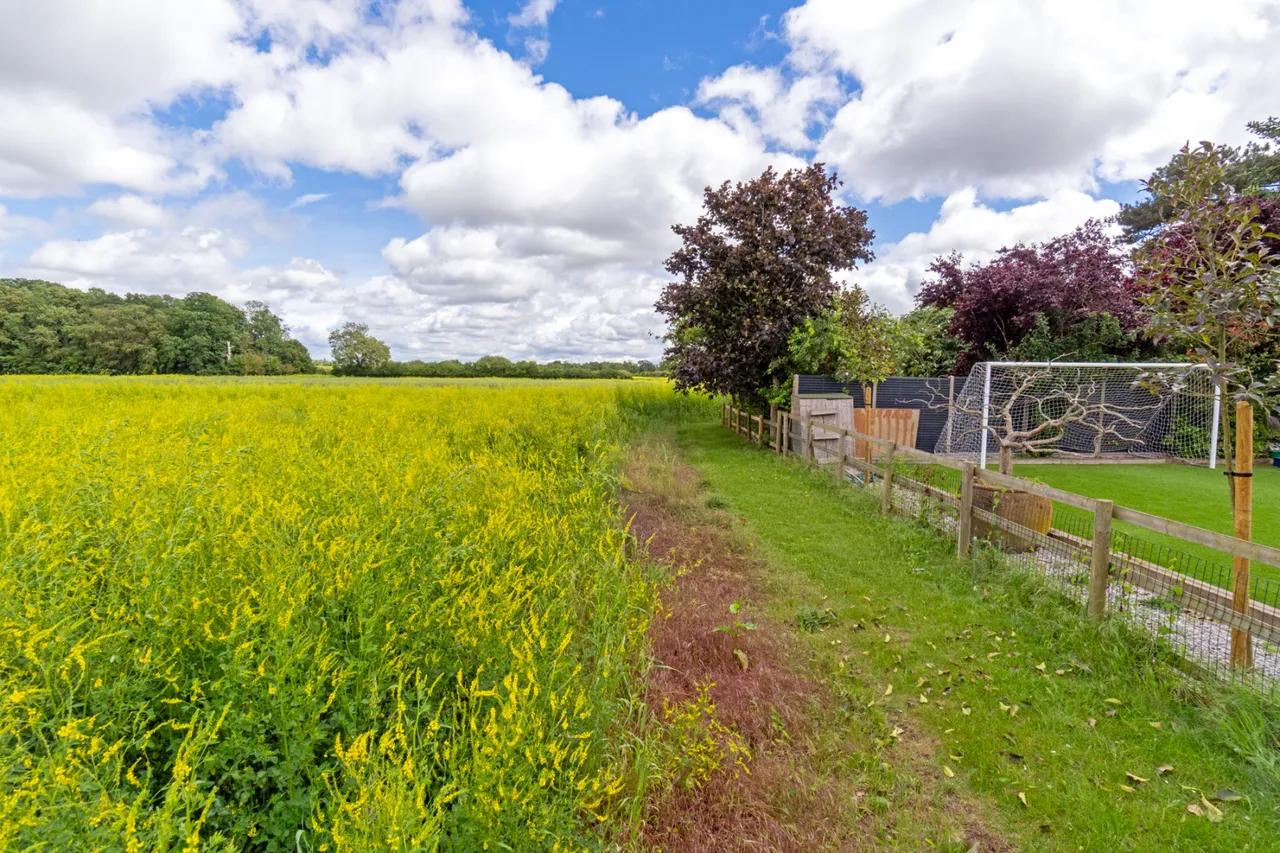 Burton Barns, Burton End, CM24, photo 31