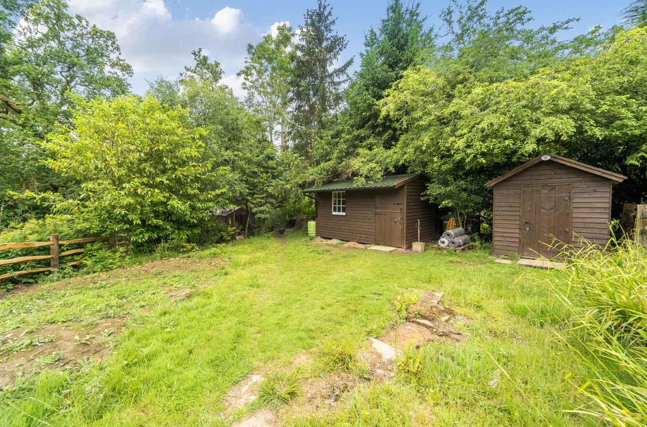Wilderwick Road, East Grinstead, Surrey, RH19 3NS, photo 10