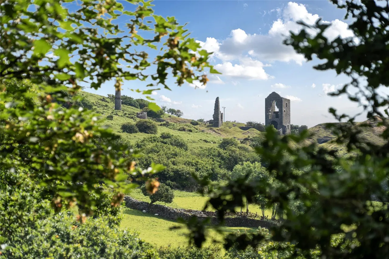 Darite, Liskeard, photo 23
