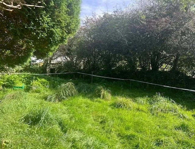 Fore Street, Nanpean, photo 19