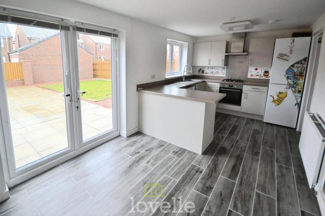 Eagle Drive, Humberston, DN36, photo 7