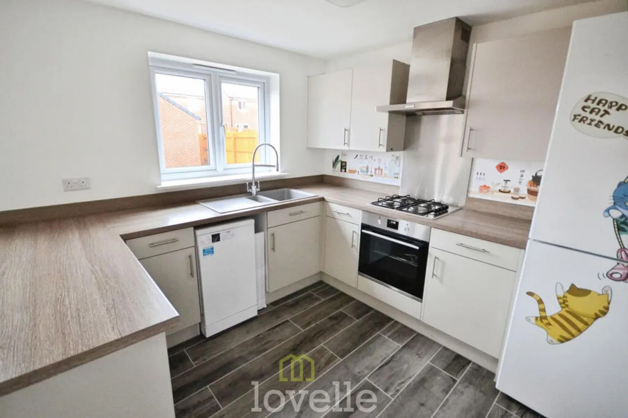 Eagle Drive, Humberston, DN36, photo 4