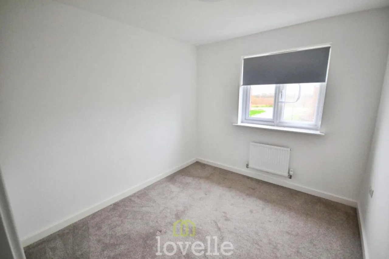 Eagle Drive, Humberston, DN36, photo 12
