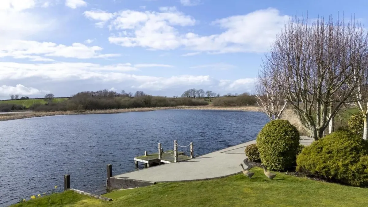 Lisbarnet Road, Comber, BT23, photo 62