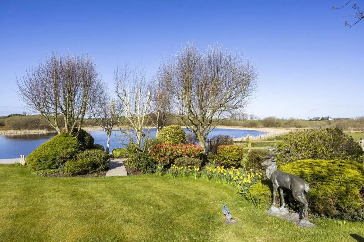 Lisbarnet Road, Comber, BT23, photo 8