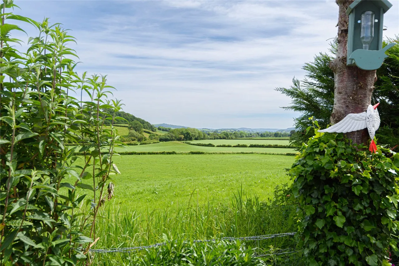 Kerry, Newtown, Powys, SY16 4NP, photo 41