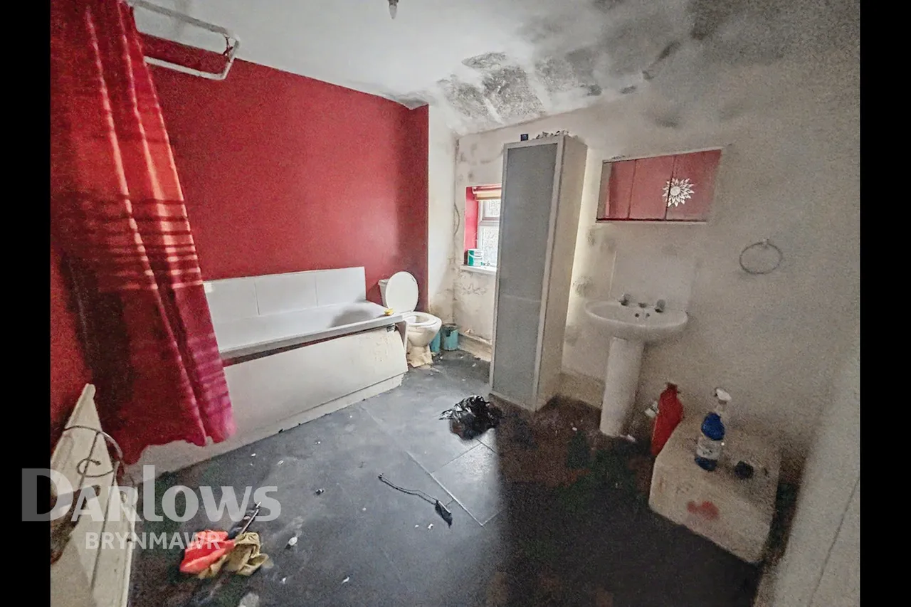Richmond Terrace, Tredegar, photo 8
