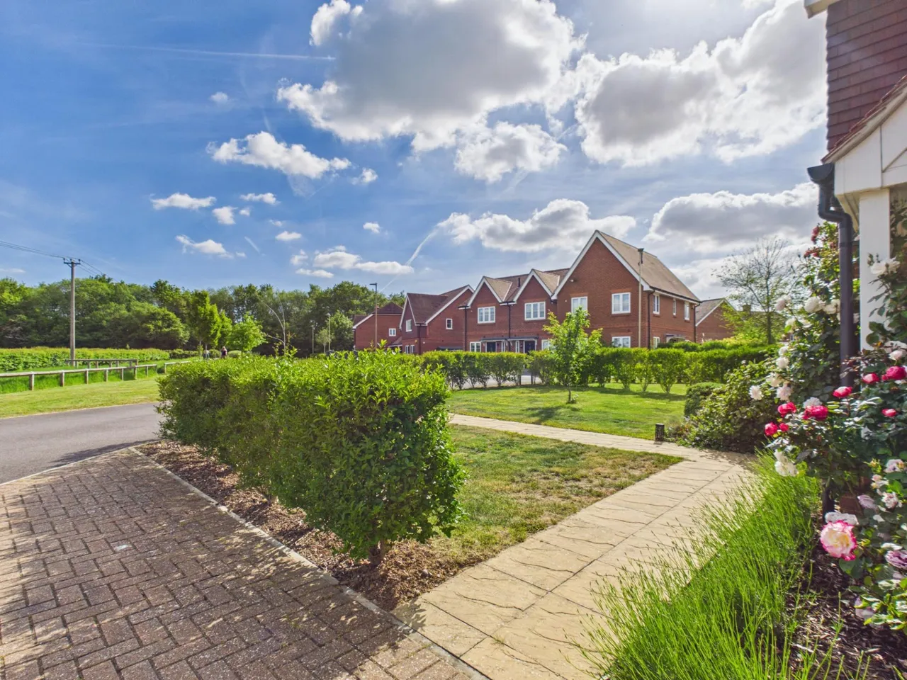 Centenary Fields, Bramley, RG26, photo 6
