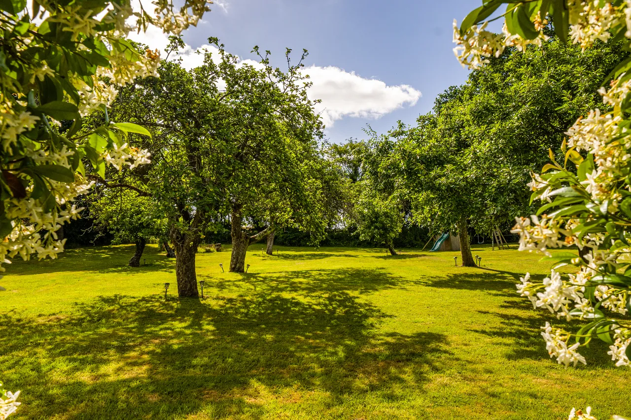 Durley Street, Durley, SO32, photo 19