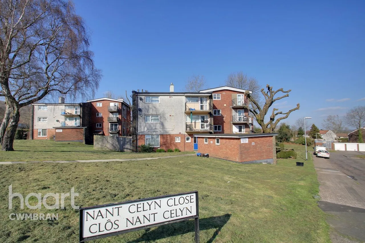 Celyn Court, Cwmbran, NP44, photo 6