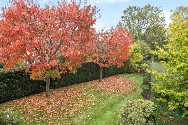 Guildford Road, Lightwater, GU18, photo 21