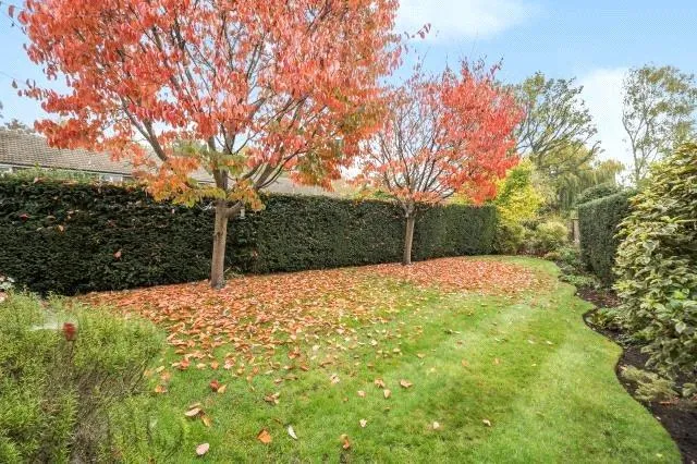 Guildford Road, Lightwater, GU18, photo 22