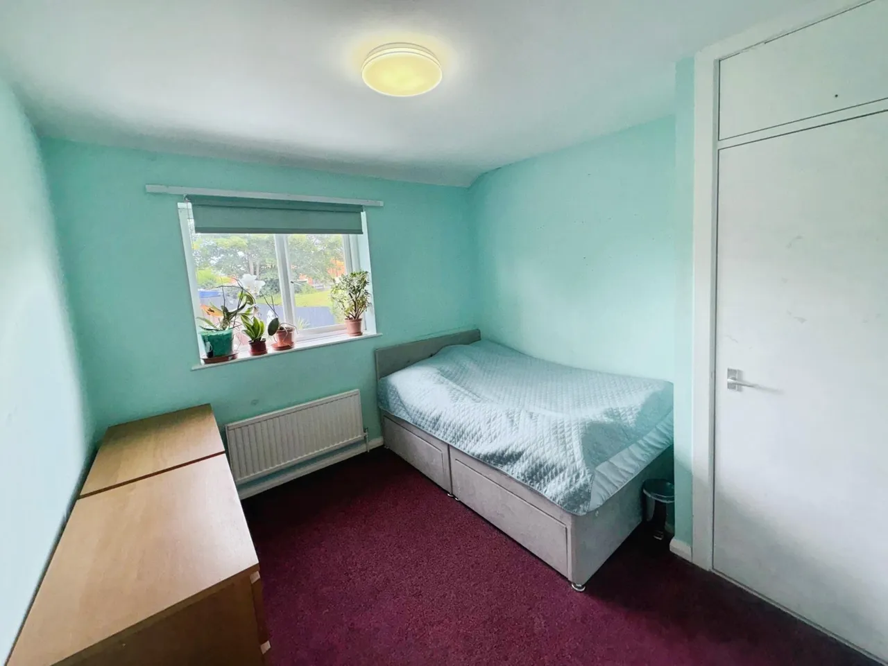Eltham Drive, Nottingham, NG8, photo 8