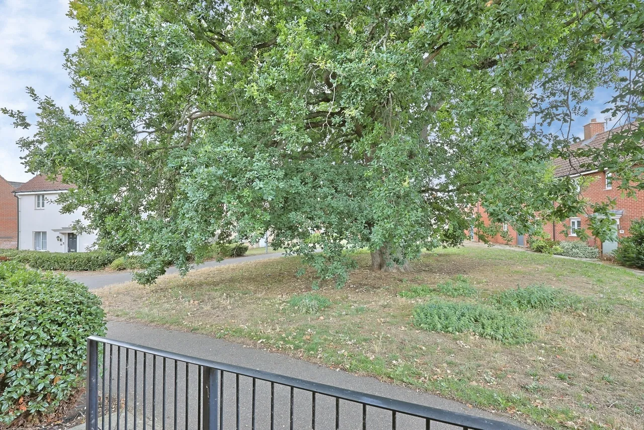 Oriole Drive, Cringleford, Norwich, Norfolk, NR4, photo 16