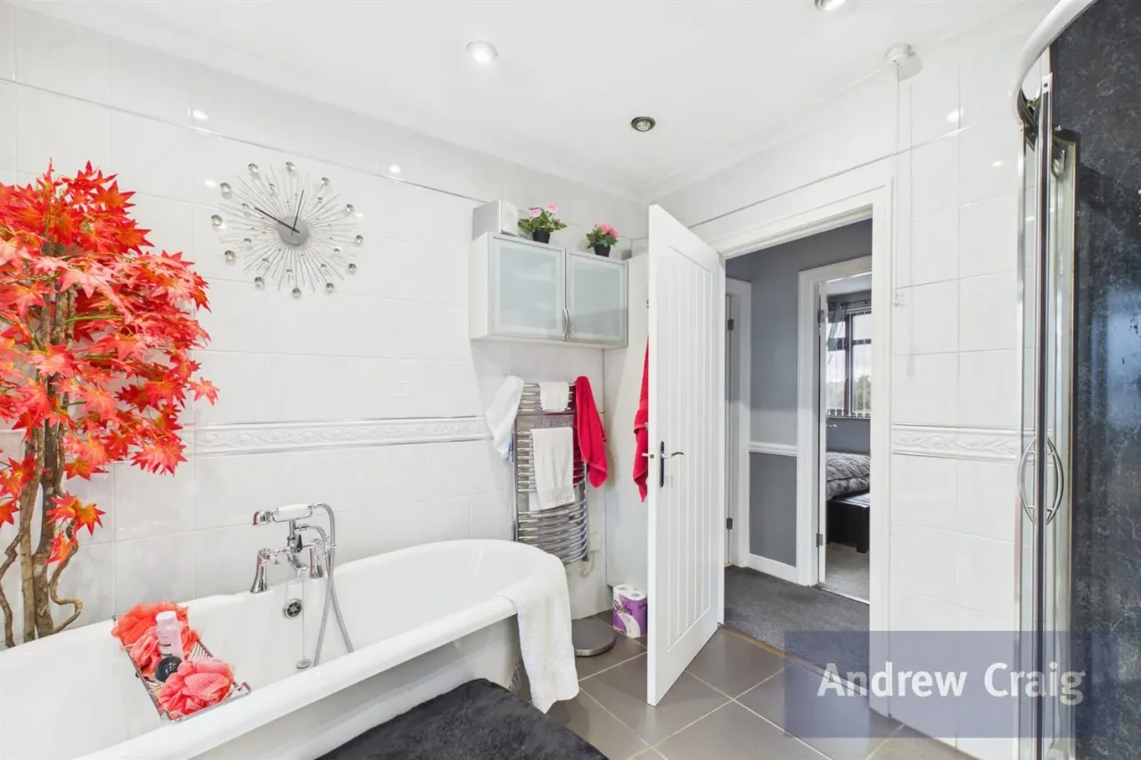 Commercial Road, South Shields, NE33, photo 7