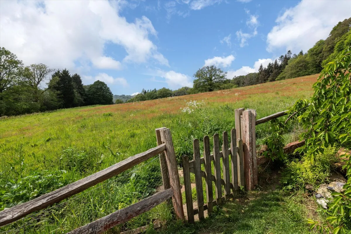 Markwick Lane, Loxhill, GU8, photo 19