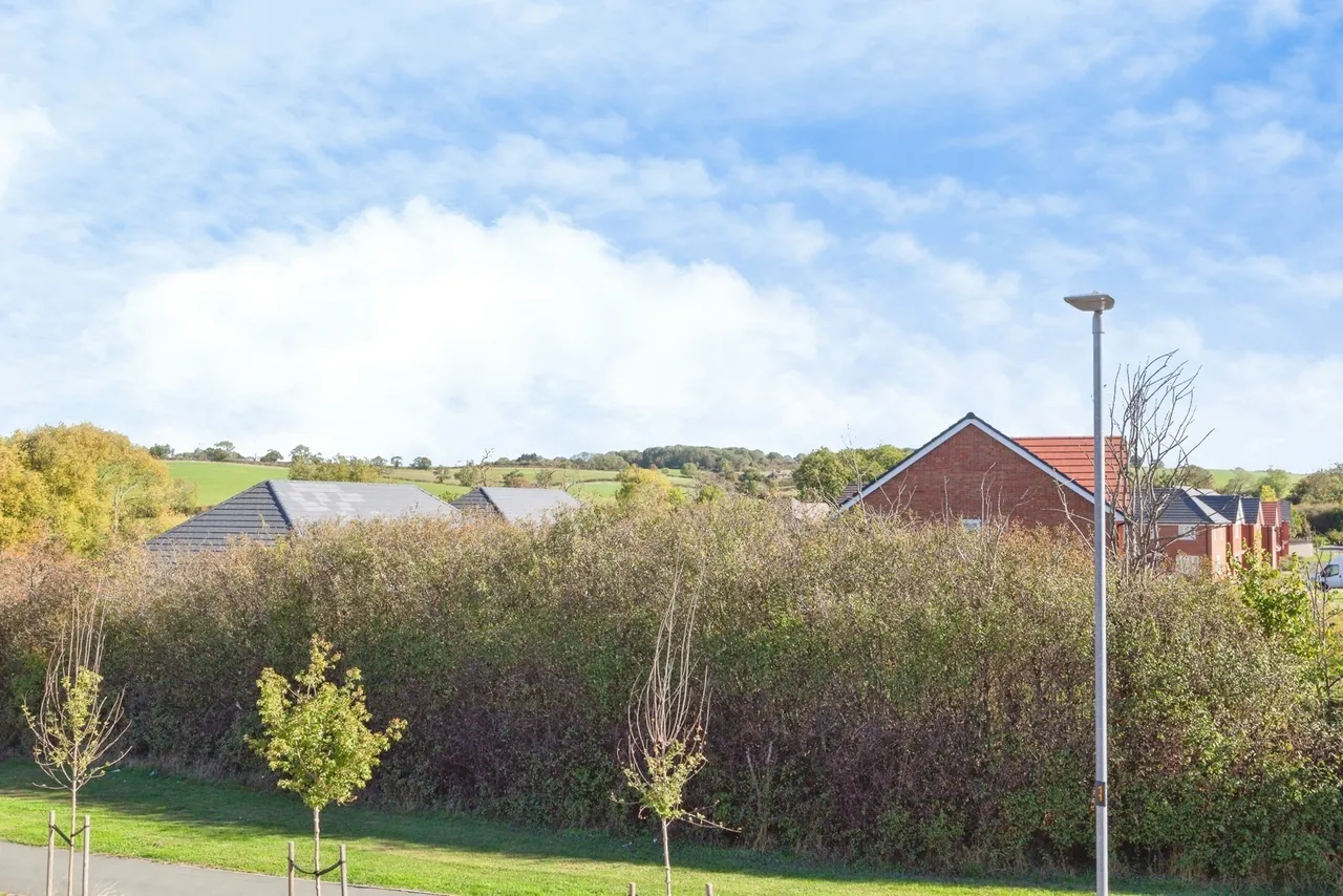 Foxglove Avenue, Leicester, LE7, photo 14