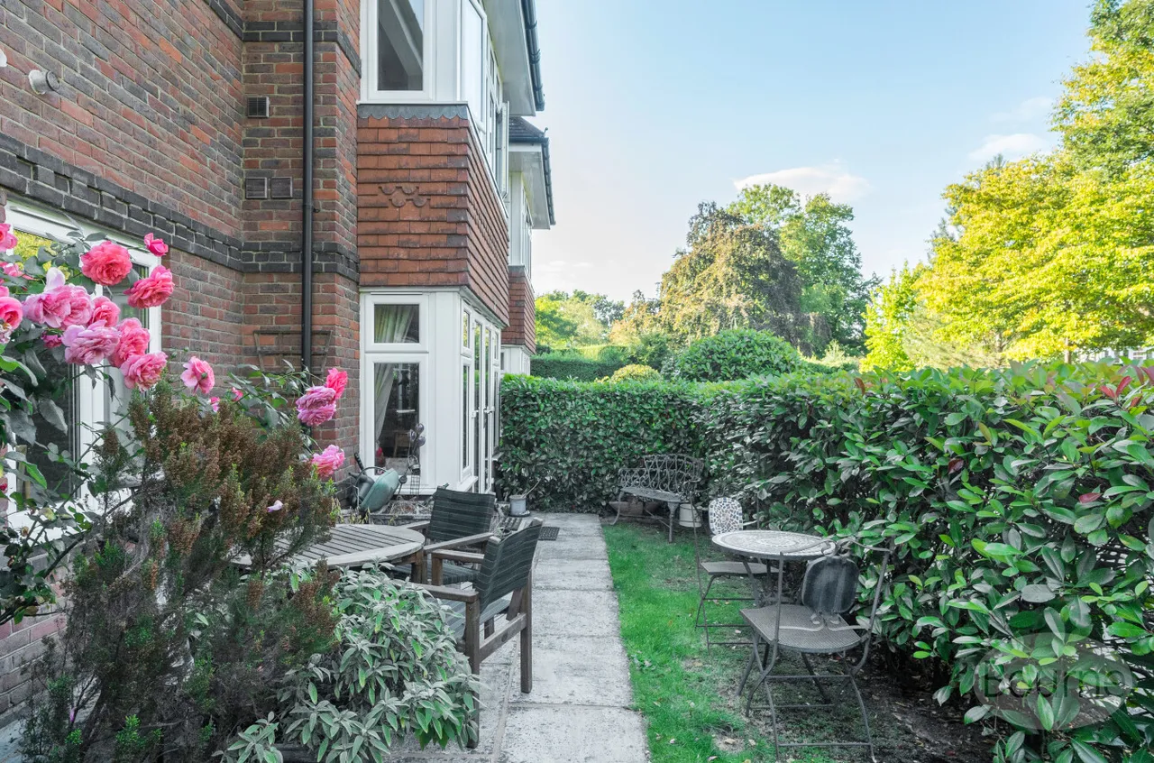Waverley Lane, Farnham, GU9, photo 4