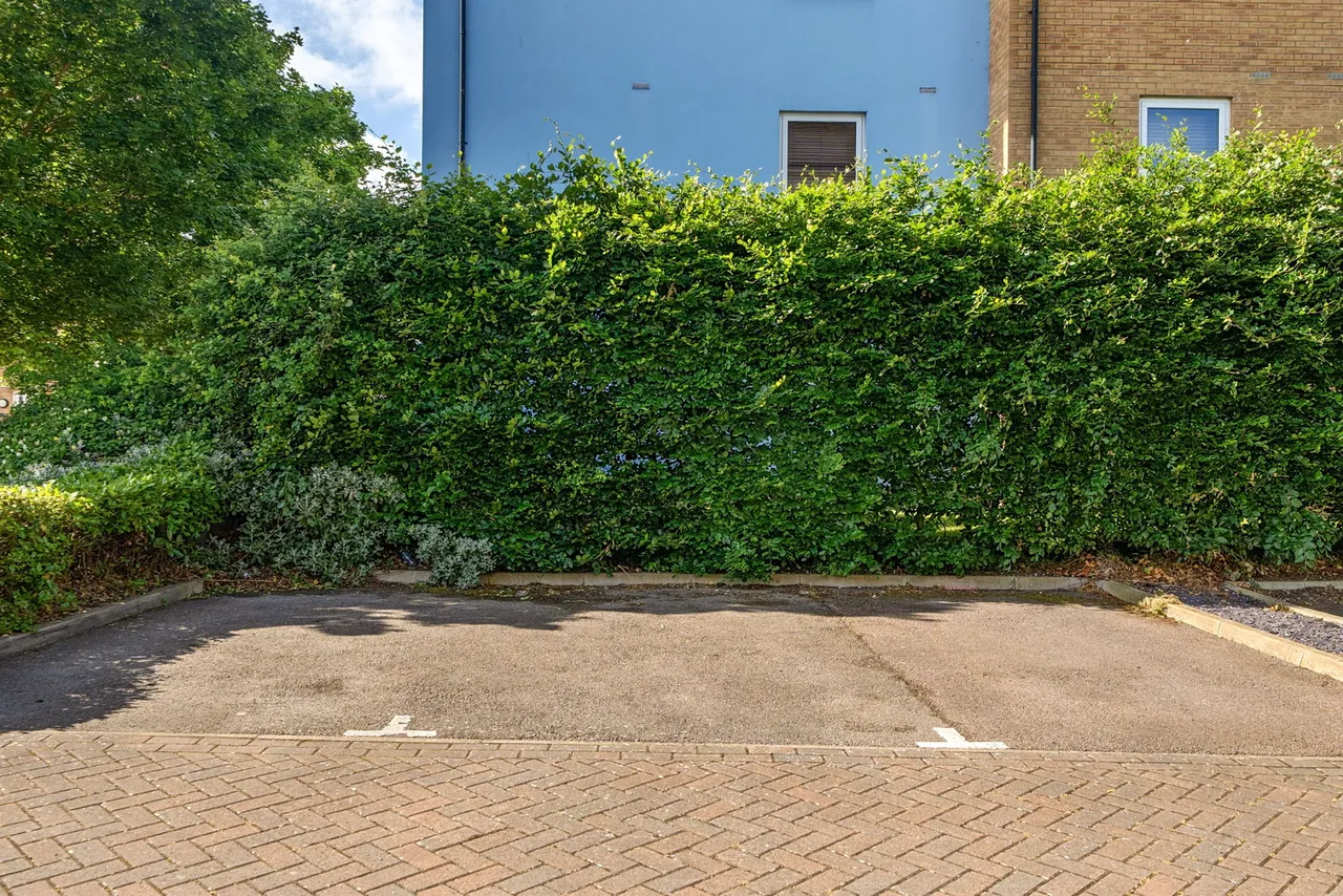 Olympia Way, Whitstable, photo 16